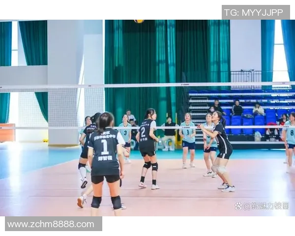 南京排球队技术实力提升排球技术排行榜中荣获第九名