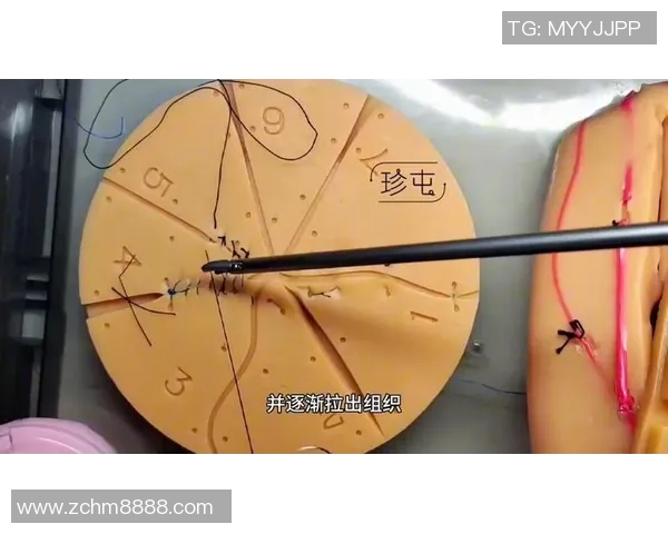 广州篮球队中路突破战术解析与实战应用深度剖析