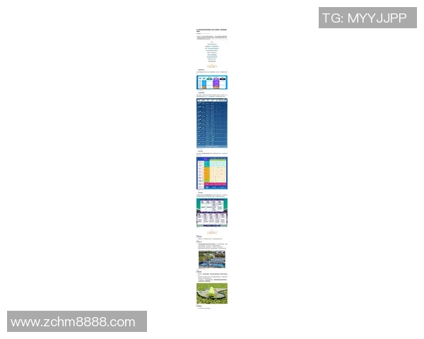 上海网球队创历史新高网球状态排名再创新高峰 上海网球队创历史新高网球状态排名再创新高峰